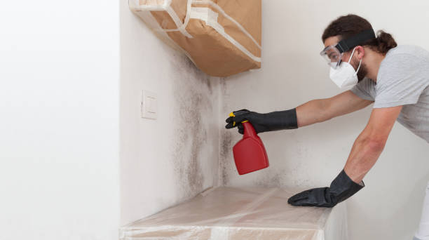 Professional Crawl Space Mold Remediation technician working in Youngsville, NC