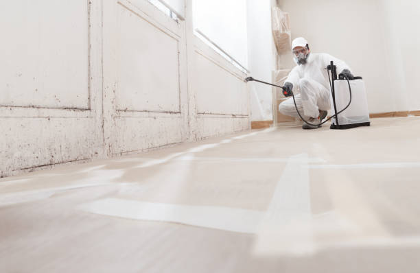 24/7 Emergency Crawl Space Mold Remediation experts in Youngsville, NC